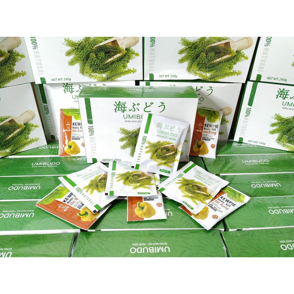 Rong nho Umibudo | BigBuy360 - bigbuy360.vn