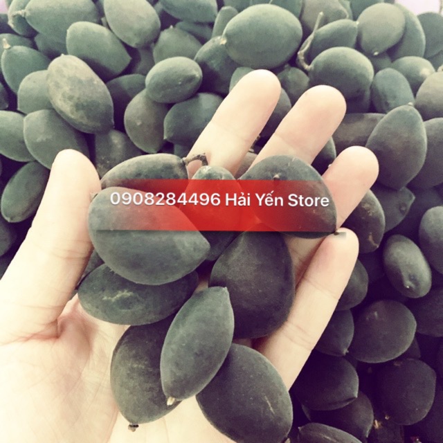 Trái xay voi to 1kg