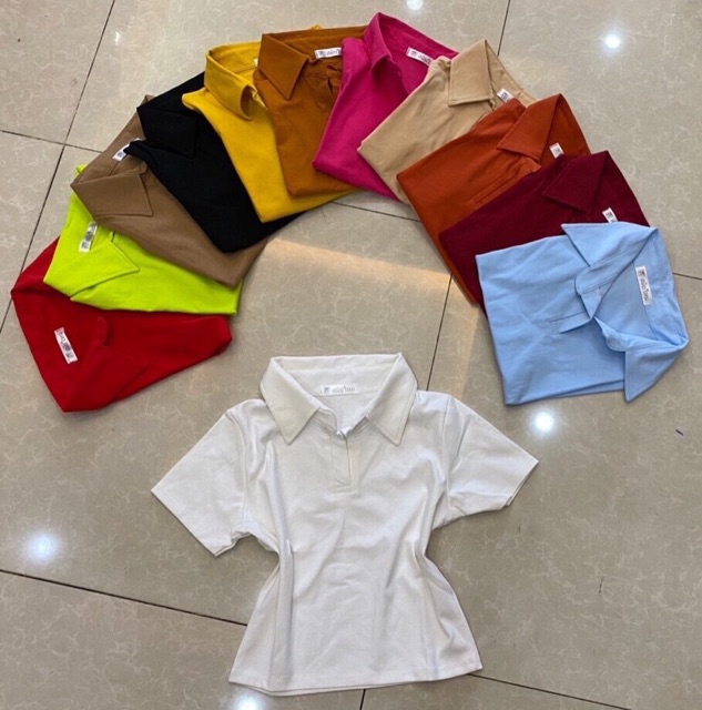 Áo thun croptop cổ bẻ