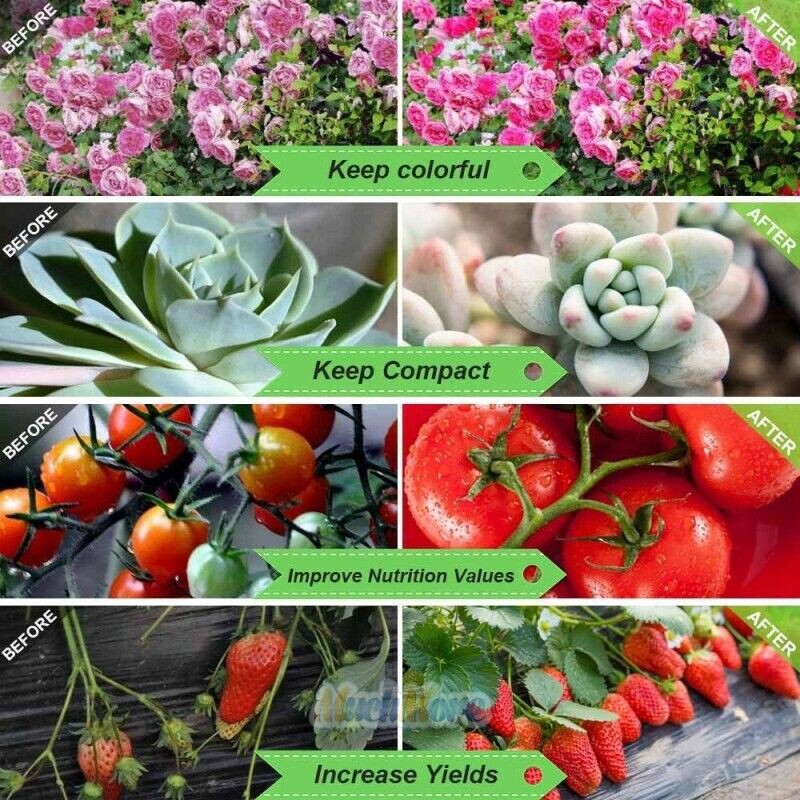 40W 4 đầu LED Grow Light 🔥đèn trồng cây trong nhà🔥 Spectrum Hydroponic Vegetable Flower Thực vật trong nhà