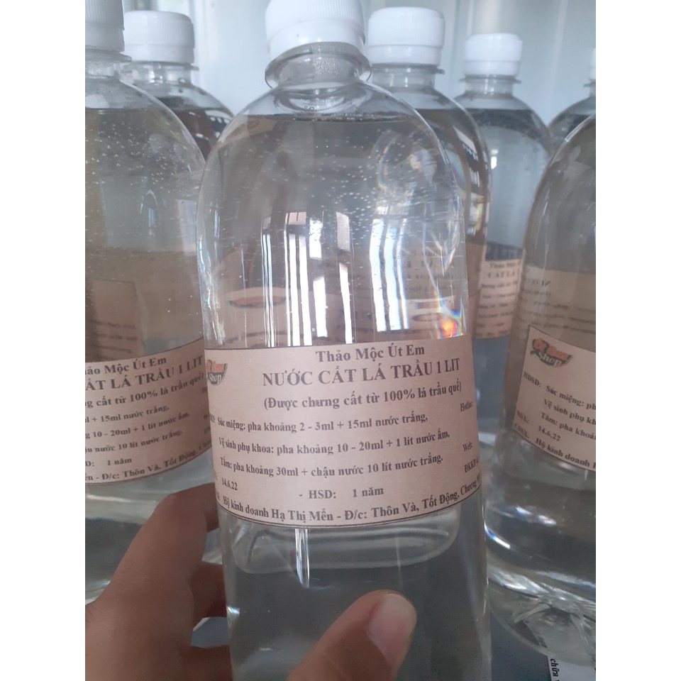 NƯỚC CẤT LÁ TRẦU KHÔNG