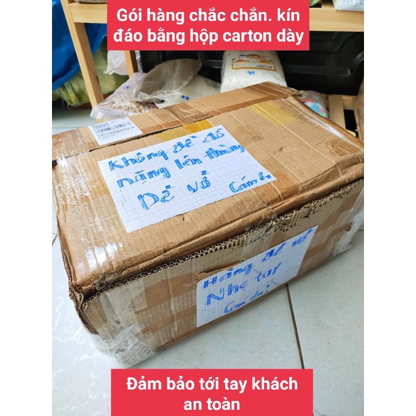 Thùng nhựa 10L-15L nuôi Hamster có vách ngăn đôi
