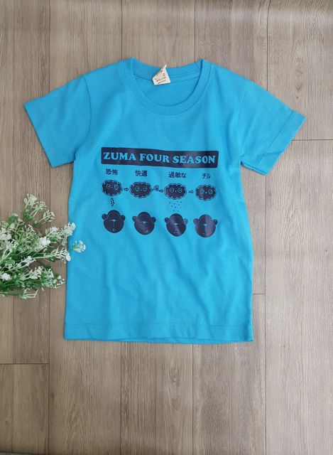 Áo thun cotton thái lan bé trai bé gái