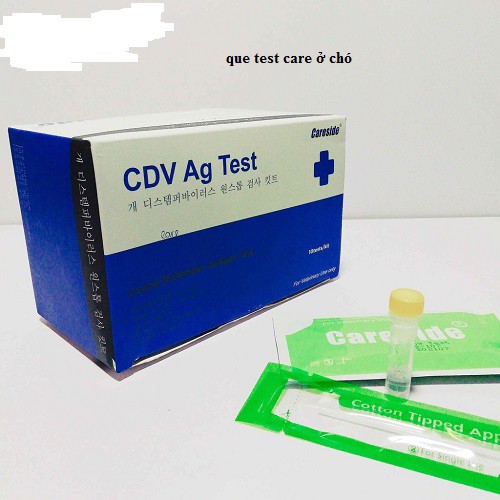 Que test Care ở chó(Hàn Quốc)