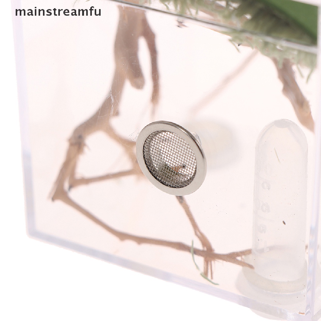 Hộp Nuôi Bò Sát Côn Trùng Nhỏ Trong Suốt Màu Đen Mới [Mainnstreamfu]