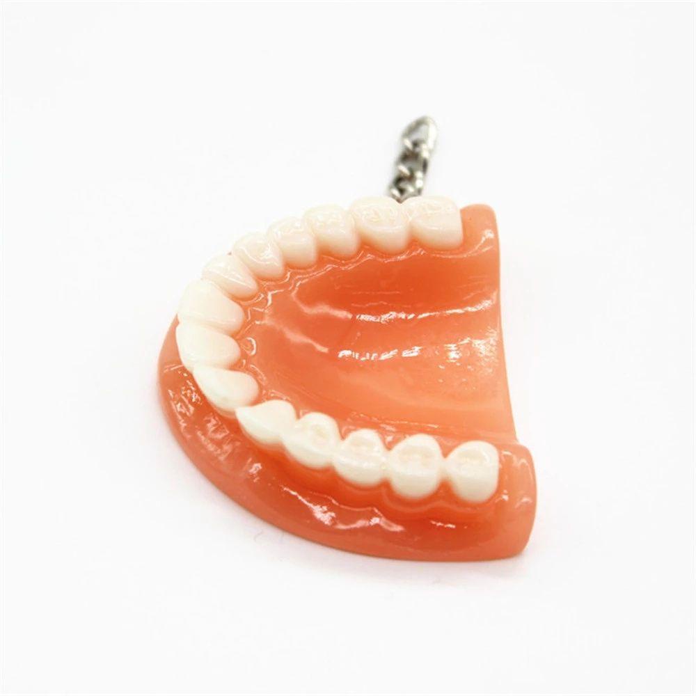 IVORY Móc Khóa Hình Hàm Răng Sáng Tạo