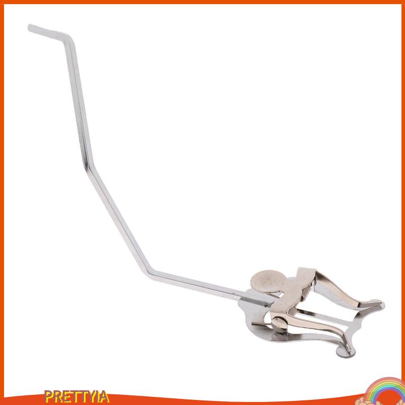 1 Kẹp Kèn Trumpet Lyre Du Lịch Cho Ban Ngày