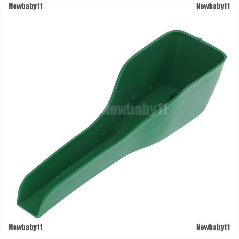 Dụng Cụ Cho Chim Vẹt Ăn Uống Tiện Dụng