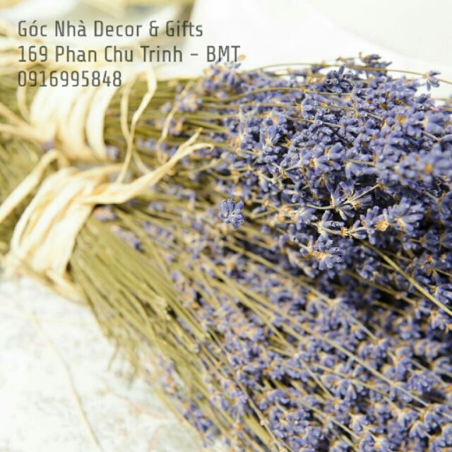 Bó true lavender hoa khô gocnha