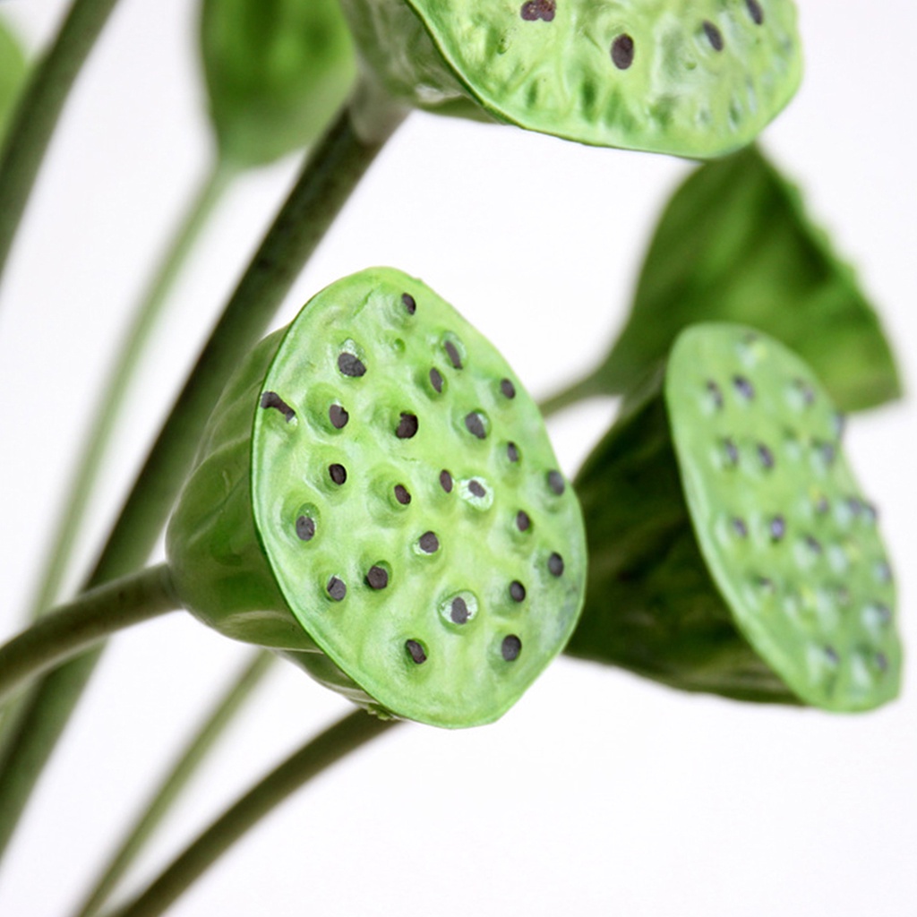 1 Nhánh Hoa Sen Nhân Tạo Chất Liệu Giả Da Chống Rơi Dùng Trang Trí Bàn