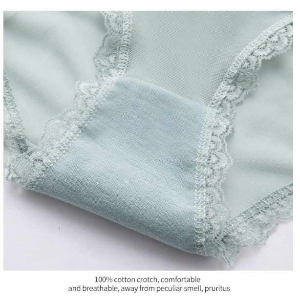 Quần lót cotton Hàn Quốc cute nhiều màu sắc