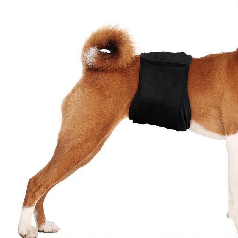 Sinh lý học thú cưng mới của desinger với chó đực quần áo chó đực lịch sự - ảnh sản phẩm 6