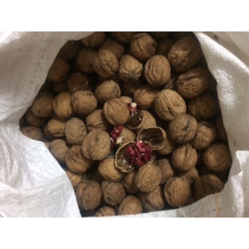 Óc chó nhân đỏ 250g