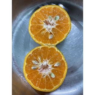 Quýt Đường Hữu Cơ