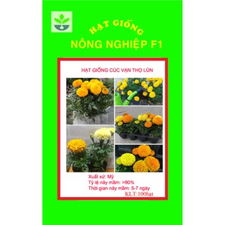 Gói 50 hạt giống cúc vạn thọ lùn