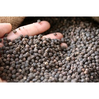 Tiêu chín đỏ vườn rừng One4One