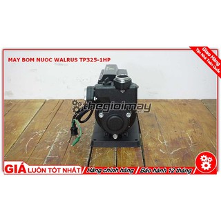 Máy bơm nước bánh răng đẩy cao Walrus TP325