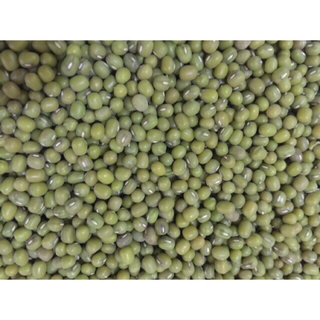 [Sale Sốc] Đậu Xanh Nguyên Hạt hàng chuẩn đẹp 0,5kg | BigBuy360 - bigbuy360.vn