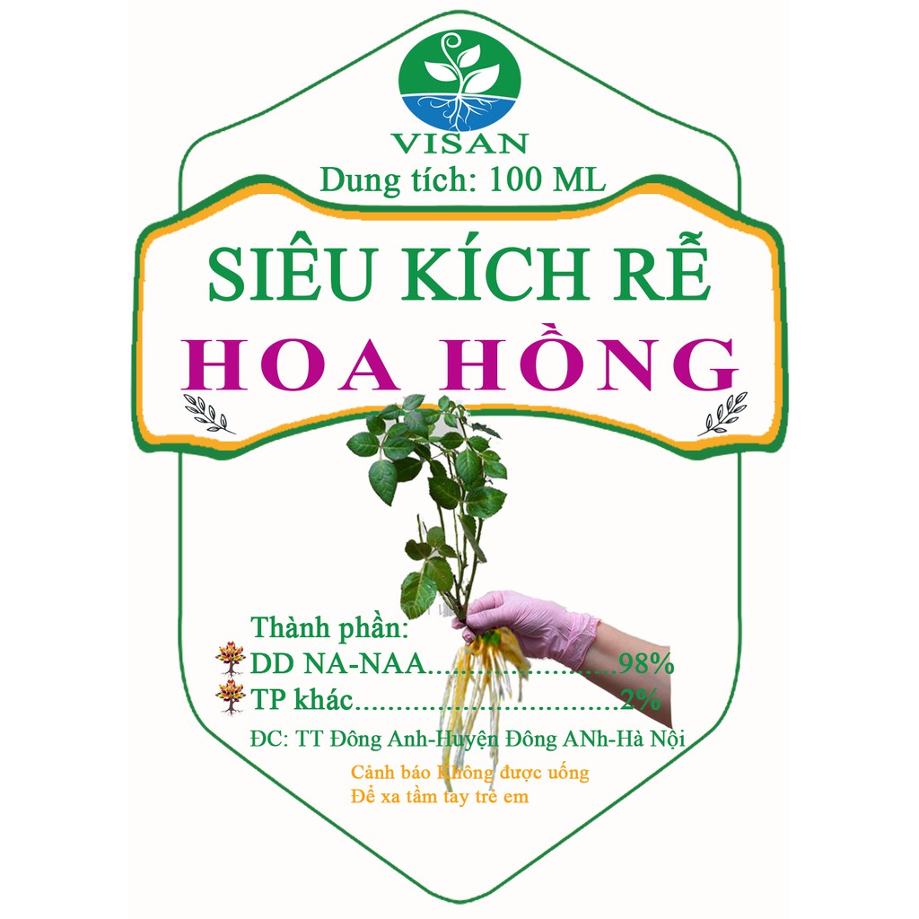 Kích rễ hoa hồng NAA