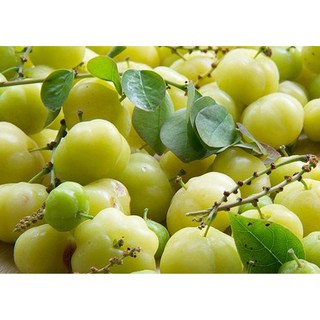 200G MỨT CHÙM RUỘT LOẠI 1