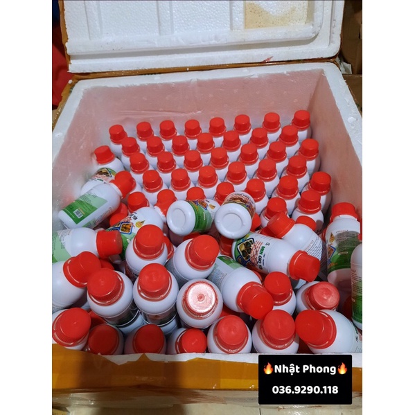 MEN CAO TỎI -