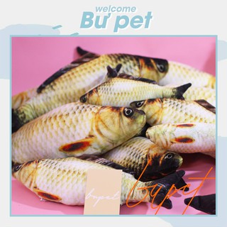 Cá chép gối ôm cho mèo