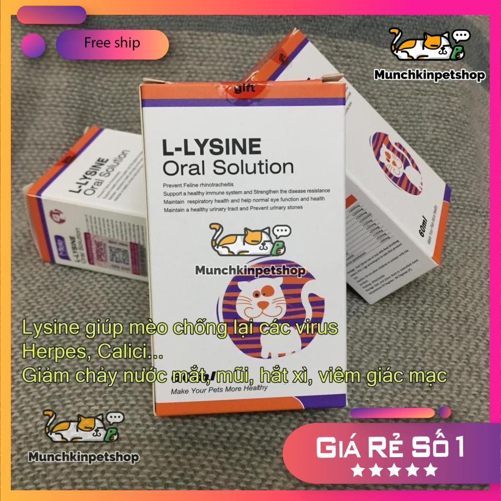 COMBO lysine lỏng, nhỏ mũi, nhỏ mắt Maxidine cho mèo bị herpes, calici chảy nước mắt hắt xì