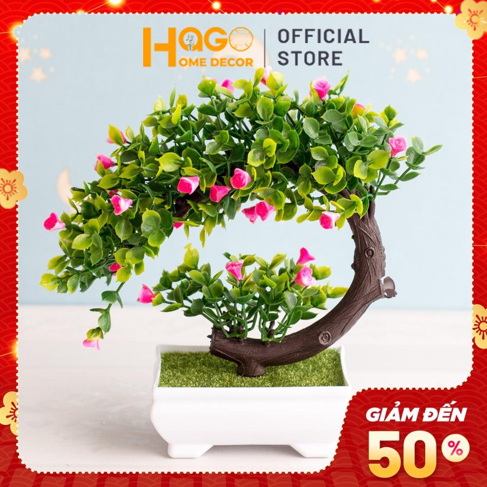 Cây bonsai phú quý tài lộc - Cây bon sai giả để bàn trang trí  Để nội thất, phòng làm việc ( kèm chậu nhựa)