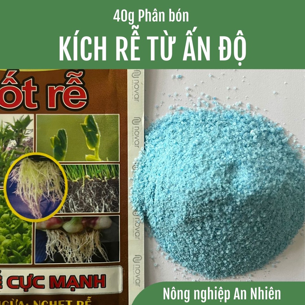 40g Phân bón kích rễ cực mạnh cho Hoa hồng, Cây cảnh, Rau màu