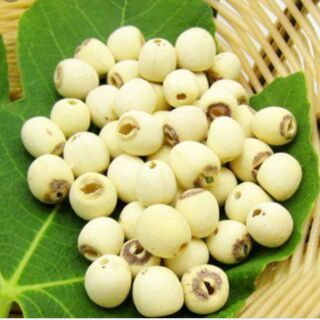 HẠT SEN KHÔ ĐẶC SẢN MIỀN VƯỜN HUẾ