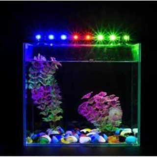 Đèn led chìm hồ cá 60cm