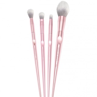 Set cọ wet n wild