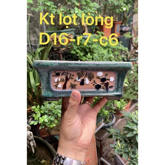 Chậu trồng cây bonsai hàng biên hoà đồng nai- Chậu trồng cây bonsai - chậu trồng sen đá - chậu cảnh bonsai