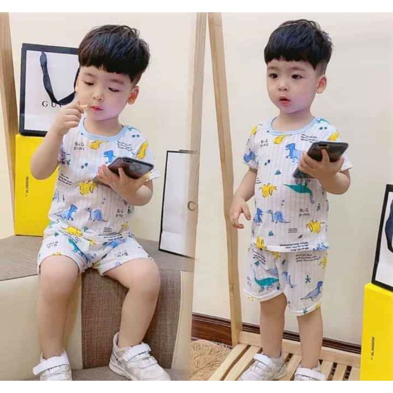 Bộ cotton 3d thông hơi chất lượng tốt cho bé trai 08-20 kg