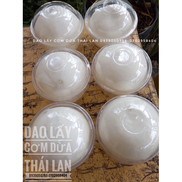 Dao lóc cơm dừa nguyên quả vẫn giữ được nước bên trong