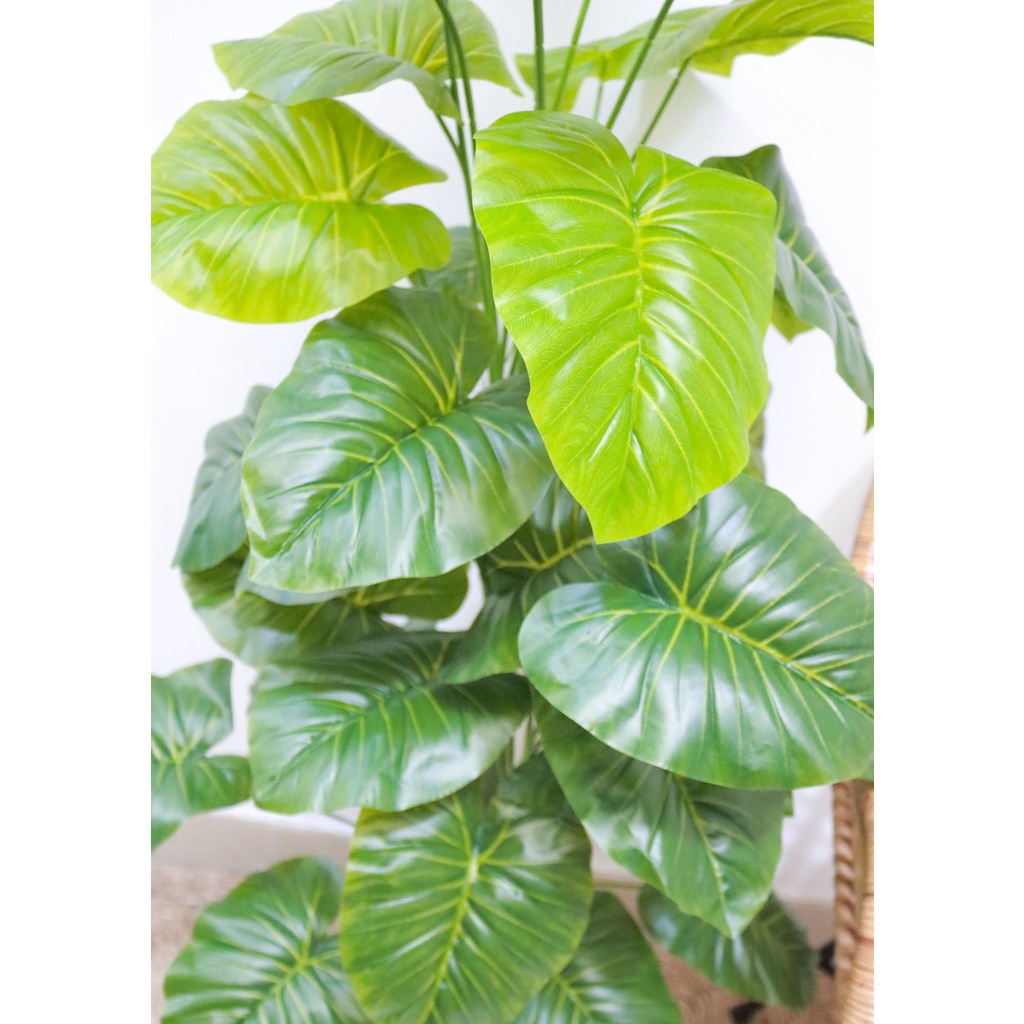 Cây giả Cây lá rùa, Trầu bà Montera, Cây môn đốm 1m2