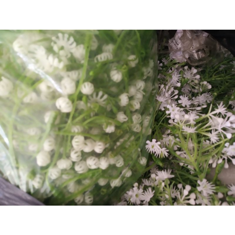 Nửa cân hoa babi cắm điểm cực đẹp