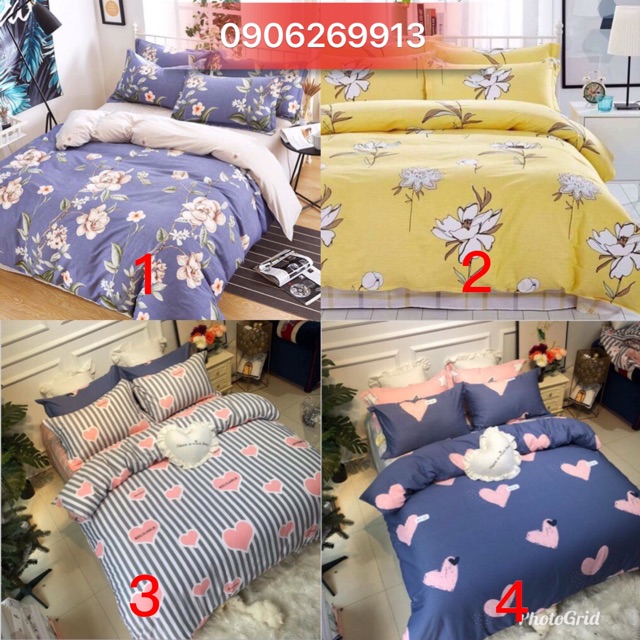 Bộ ga gối Demi 100% cotton