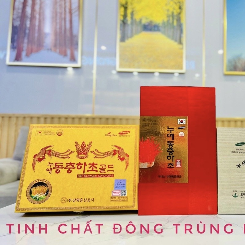 Đông Trùng Hạ Thảo Hộp Gỗ Vàng Cao Cấp KANGHWA Hàn Quốc, hộp 60 gói