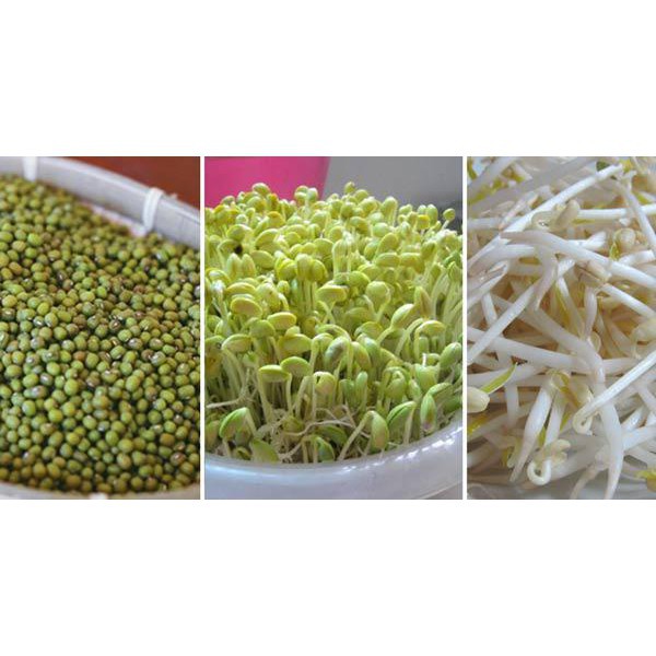 Đậu xanh nguyên hạt sạch_nhà làm gói 1kg