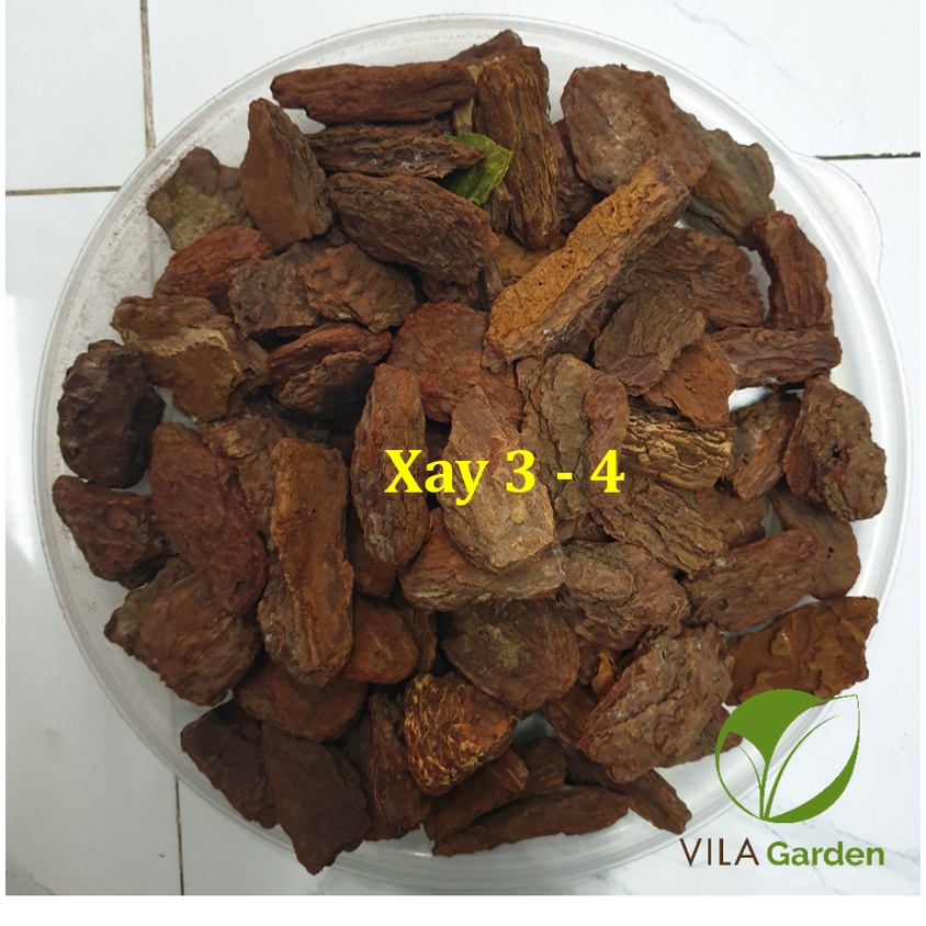 Vỏ Thông Xay Bo size 3-4cm (Túi 1kg)