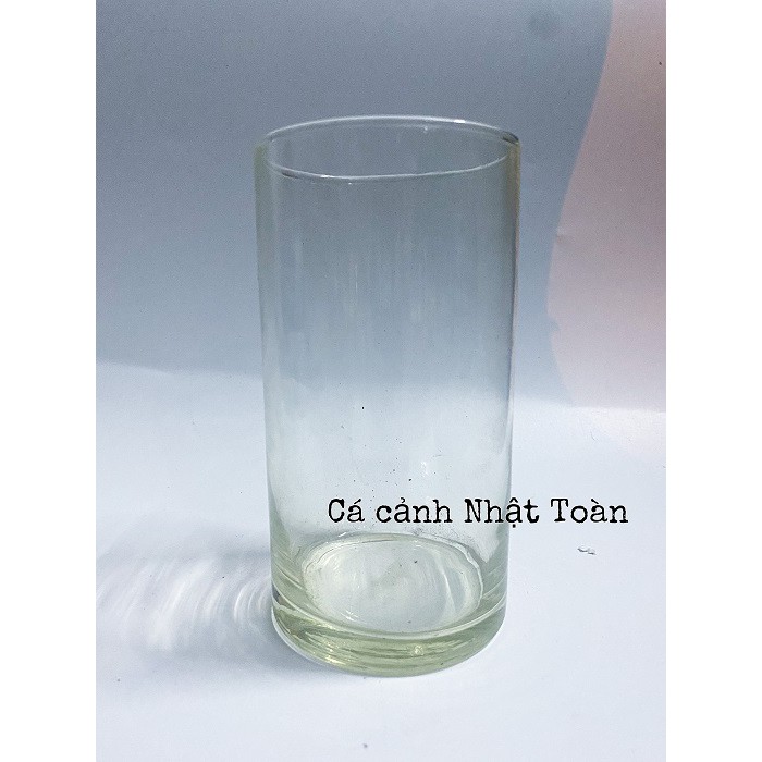 LY THỦY TINH DÀY NUÔI CÁ CẢNH CAO 14CM ĐƯỜNG KÍNH 8CM