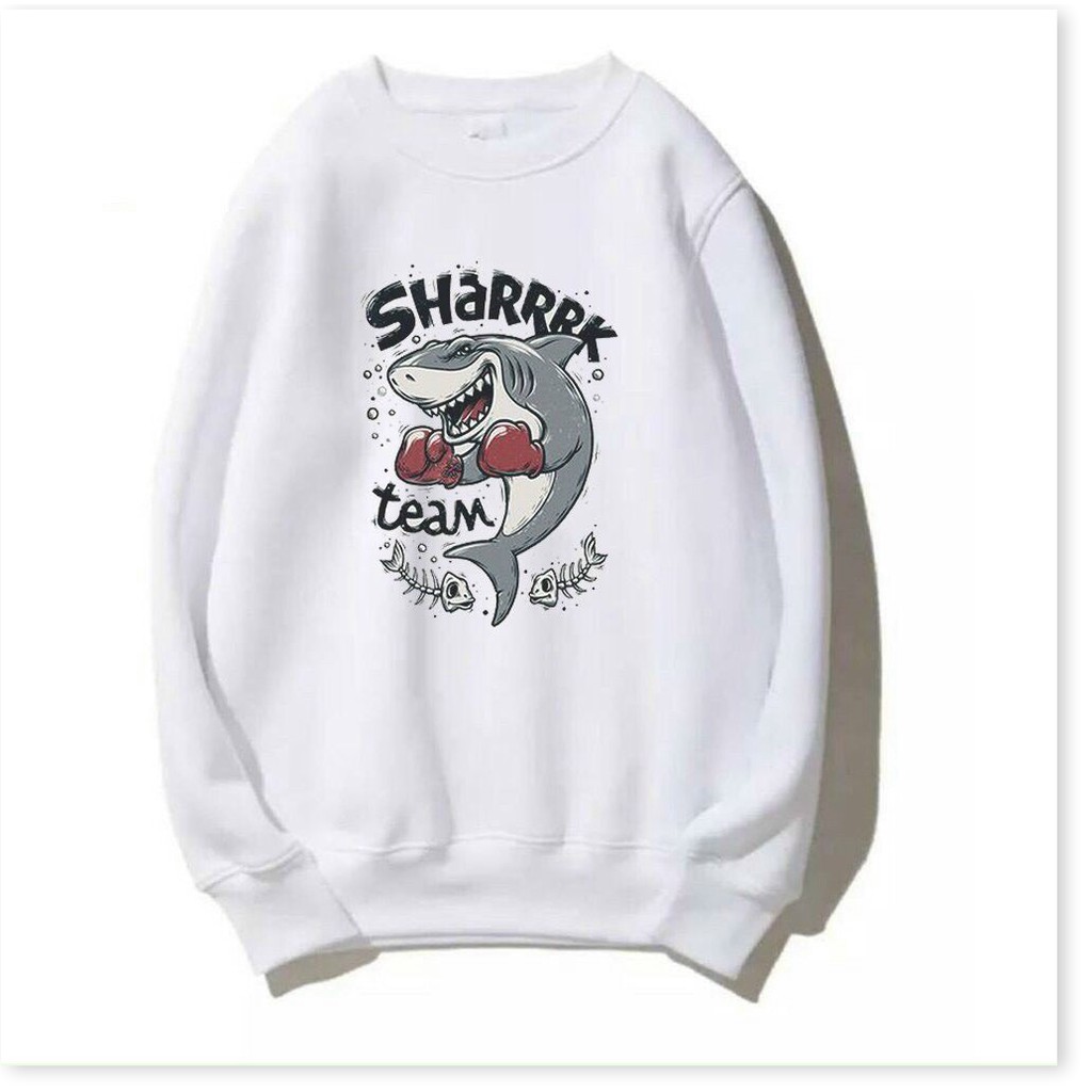 ÁO HOODIE SWERTER PHONG CÁCH THỜI TRANG HÀN  ĐẲNG CẤP