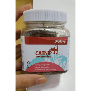 CỎ MÈO CATNIP