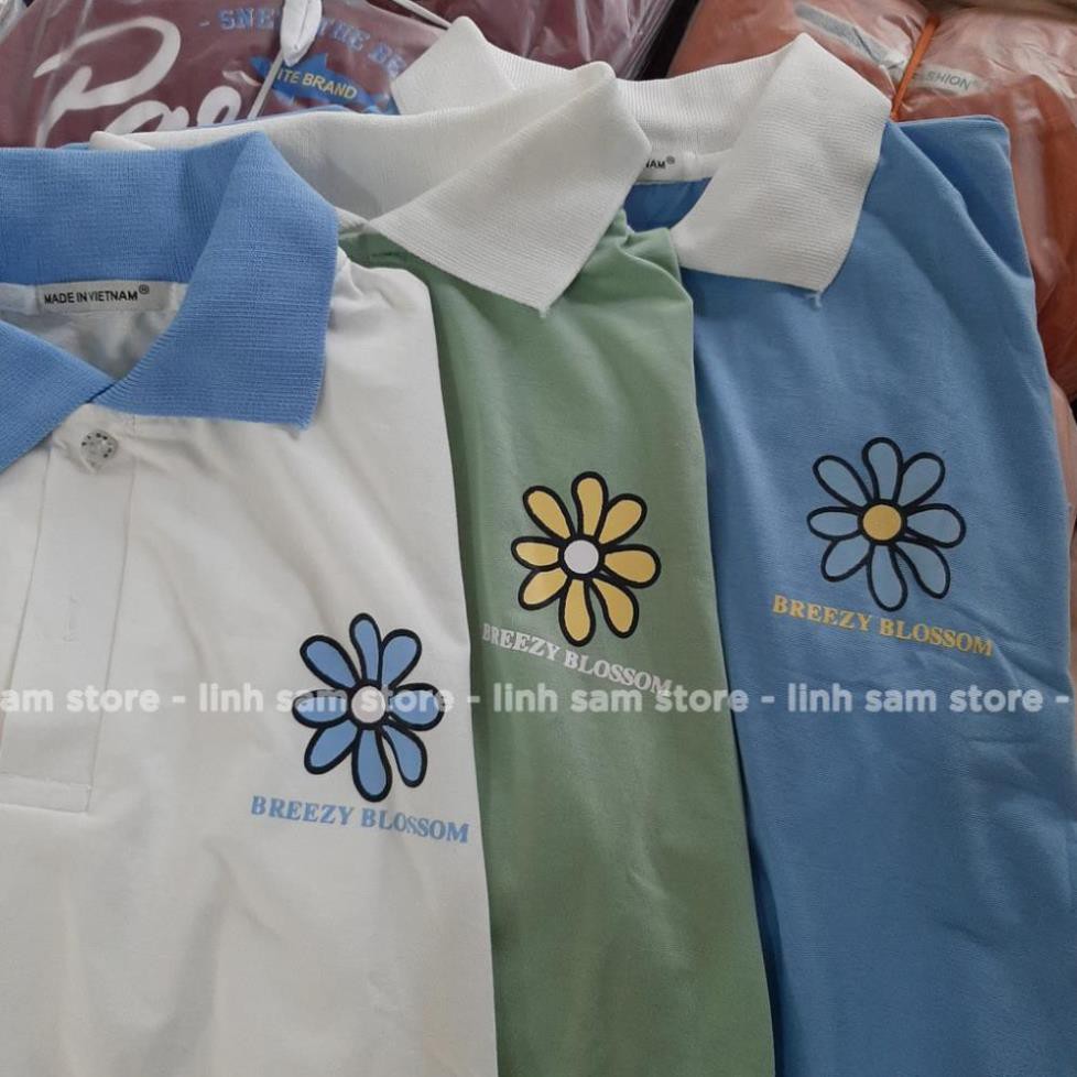 Áo thun POLO nữ tay lỡ có cổ phông form rộng freesize unisex mặc đi học, cặp, nhóm, lớp in hình HOA CÚC BA MÀU 😘