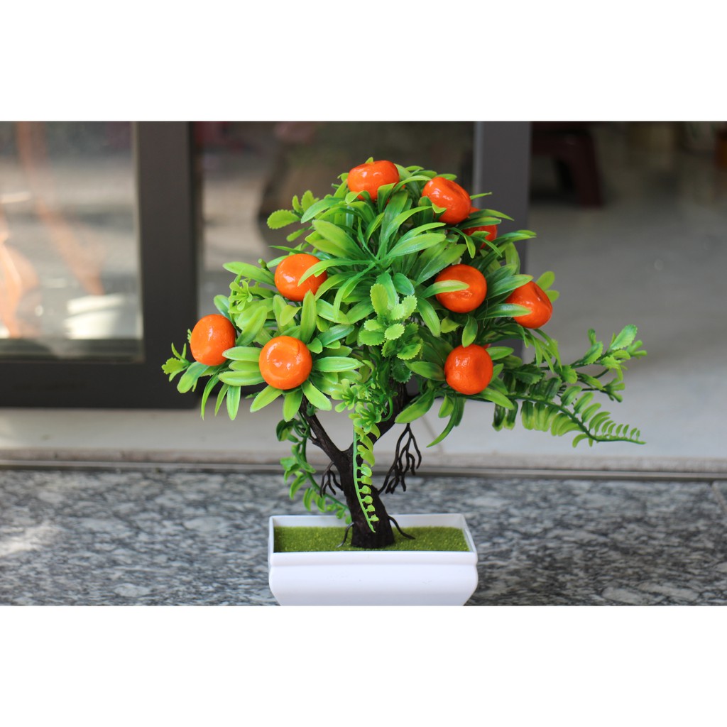 Chậu tiểu cảnh giả: cây cam, cây quýt trang trí | BigBuy360 - bigbuy360.vn
