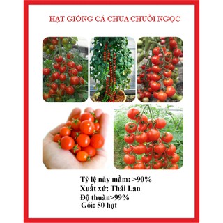 Gói 30 hạt giống cà chua chuỗi ngọc