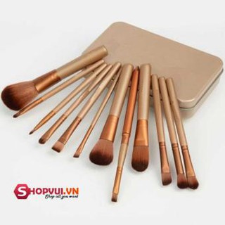 bộ cọ trang điểm 12 món