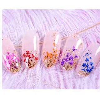 Set Ẩn Gel Hoa Chùm [RẺ VÔ ĐỊCH]