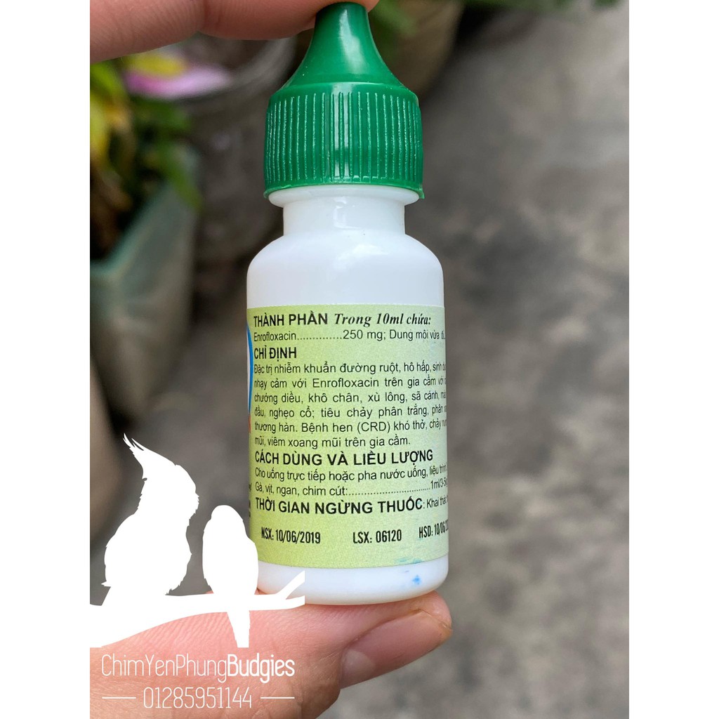 VIAQUINO-100 10ML hen gà - tiêu chảy